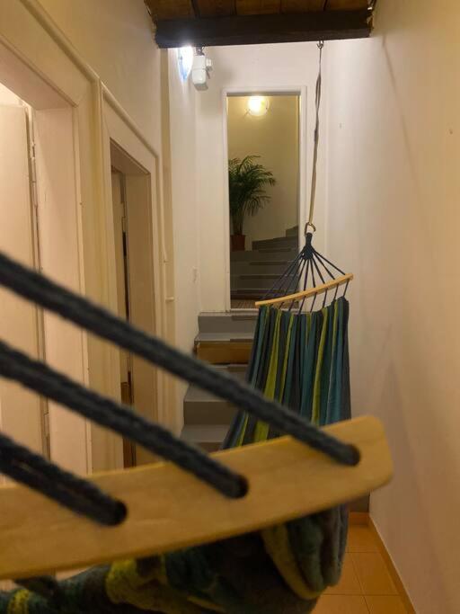 Flat In The House & Dog Friendly Prag