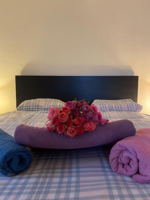 Flat In The House & Dog Friendly Praga