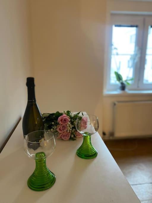 Flat In The House & Dog Friendly Praga