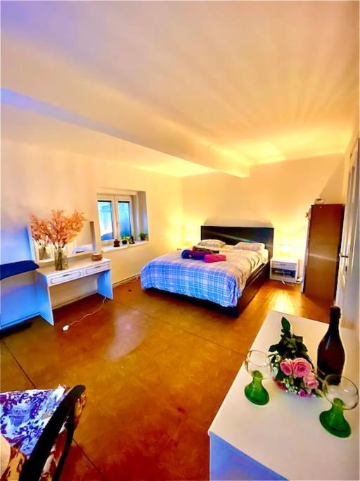 Flat In The House & Dog Friendly Praga