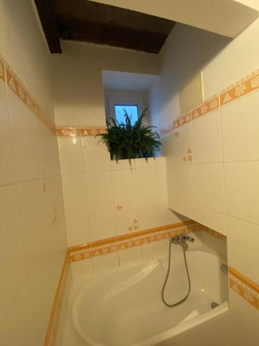 Apartmán Flat In The House & Dog Friendly *