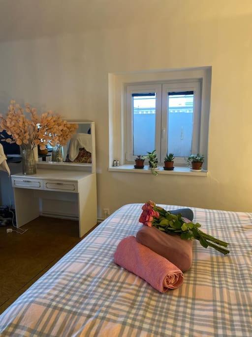 Flat In The House & Dog Friendly Apartament *