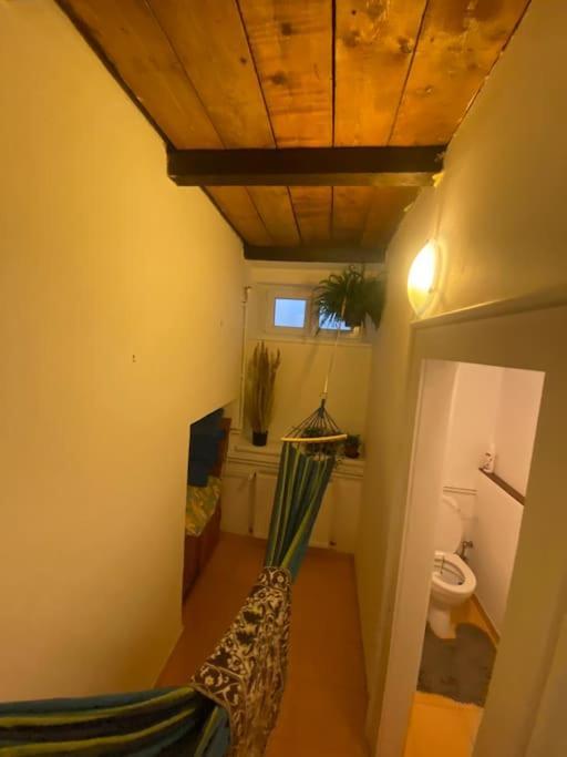 Apartament Flat In The House & Dog Friendly