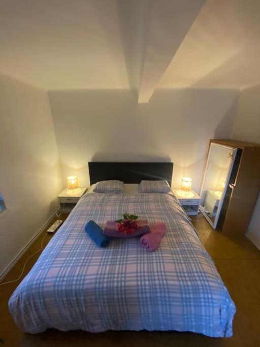 Flat In The House & Dog Friendly Apartament *