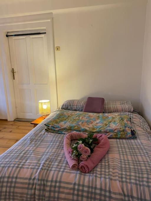 Flat In The House & Dog Friendly Praga