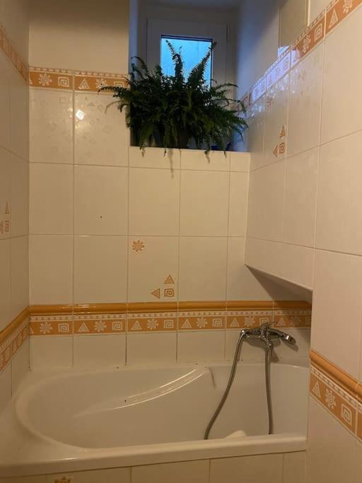 Flat In The House & Dog Friendly Apartament