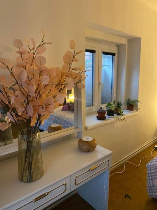 Apartament Flat In The House & Dog Friendly *