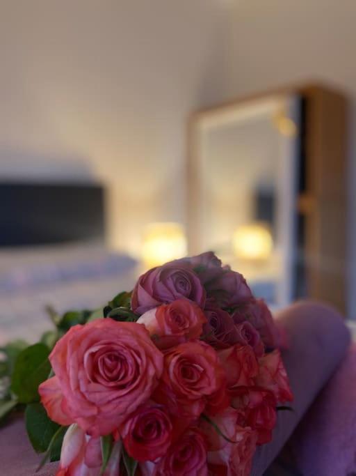 Apartament Flat In The House & Dog Friendly