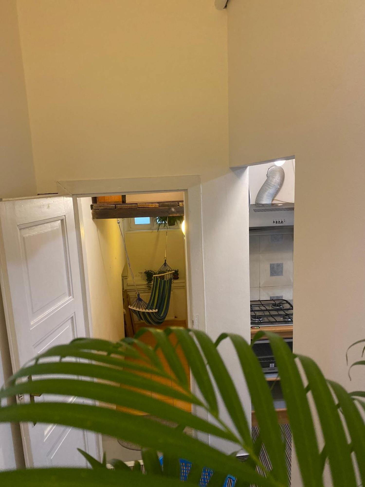Flat In The House & Dog Friendly Apartament *