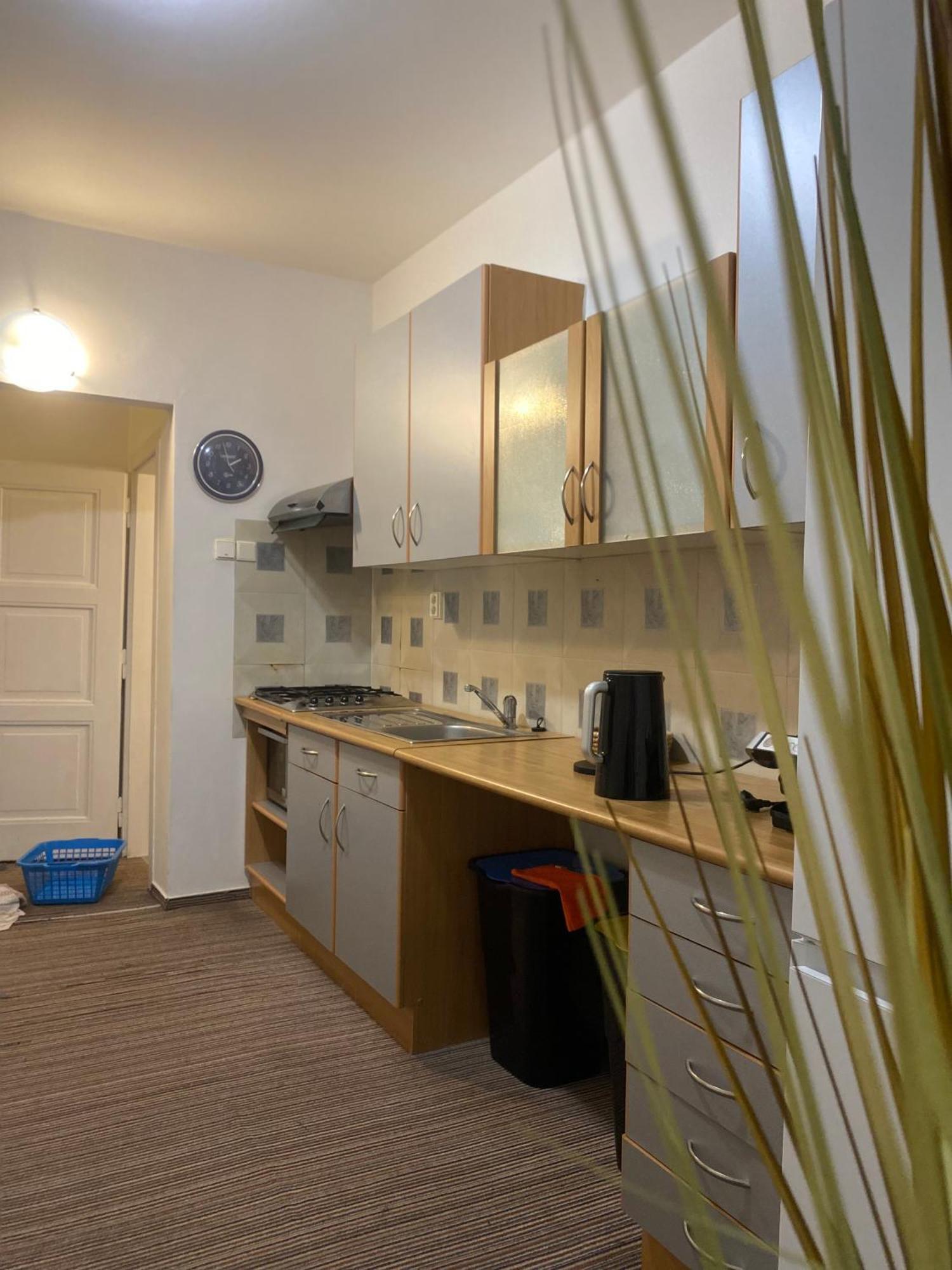 Flat In The House & Dog Friendly Praga